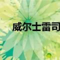 威尔士雷司令（关于威尔士雷司令简介）