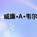 威廉·A·韦尔曼（关于威廉·A·韦尔曼简介）