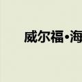 威尔福·海恩（关于威尔福·海恩简介）