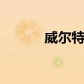 威尔特郡（关于威尔特郡简介）