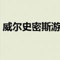威尔史密斯游戏（关于威尔史密斯游戏简介）