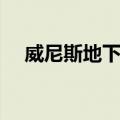 威尼斯地下党（关于威尼斯地下党简介）