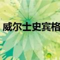 威尔士史宾格犬（关于威尔士史宾格犬简介）