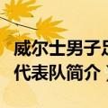 威尔士男子足球代表队（关于威尔士男子足球代表队简介）