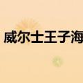 威尔士王子海峡（关于威尔士王子海峡简介）