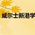 威尔士新港学院（关于威尔士新港学院简介）