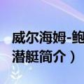 威尔海姆-鲍尔号潜艇（关于威尔海姆-鲍尔号潜艇简介）