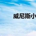 威尼斯小艇（关于威尼斯小艇简介）