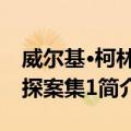 威尔基·柯林斯探案集1（关于威尔基·柯林斯探案集1简介）