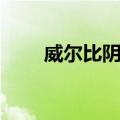 威尔比阴谋（关于威尔比阴谋简介）