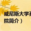 威尼斯大学孔子学院（关于威尼斯大学孔子学院简介）