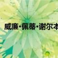 威廉·佩蒂·谢尔本伯爵（关于威廉·佩蒂·谢尔本伯爵简介）