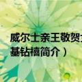 威尔士亲王敬贺女王登基钻禧（关于威尔士亲王敬贺女王登基钻禧简介）