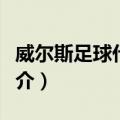威尔斯足球代表队（关于威尔斯足球代表队简介）
