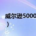 威尔逊5000指数（关于威尔逊5000指数简介）