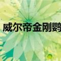 威尔帝金刚鹦鹉（关于威尔帝金刚鹦鹉简介）
