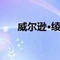 威尔逊·绫香（关于威尔逊·绫香简介）