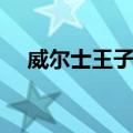 威尔士王子岛（关于威尔士王子岛简介）