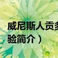 威尼斯人贡多拉体验（关于威尼斯人贡多拉体验简介）