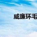 威廉环毛蚓（关于威廉环毛蚓简介）