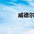 威德尔海（关于威德尔海简介）