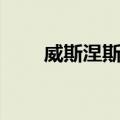 威斯涅斯基（关于威斯涅斯基简介）