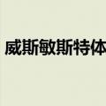 威斯敏斯特体系（关于威斯敏斯特体系简介）