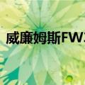 威廉姆斯FW32（关于威廉姆斯FW32简介）