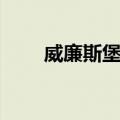 威廉斯堡市（关于威廉斯堡市简介）
