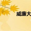 威廉大婚（关于威廉大婚简介）