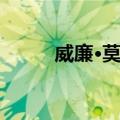 威廉·莫菲（关于威廉·莫菲简介）