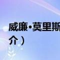 威廉·莫里斯·休斯（关于威廉·莫里斯·休斯简介）