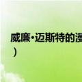 威廉·迈斯特的漫游年代（关于威廉·迈斯特的漫游年代简介）
