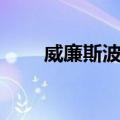 威廉斯波特（关于威廉斯波特简介）