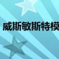 威斯敏斯特模式（关于威斯敏斯特模式简介）