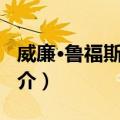 威廉·鲁福斯·戴伊（关于威廉·鲁福斯·戴伊简介）