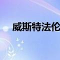 威斯特法伦马（关于威斯特法伦马简介）