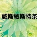 威斯敏斯特条例（关于威斯敏斯特条例简介）