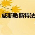 威斯敏斯特法案（关于威斯敏斯特法案简介）
