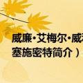 威廉·艾梅尔·威利·梅塞施密特（关于威廉·艾梅尔·威利·梅塞施密特简介）