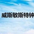 威斯敏斯特钟声（关于威斯敏斯特钟声简介）