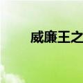 威廉王之战（关于威廉王之战简介）