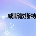 威斯敏斯特法（关于威斯敏斯特法简介）