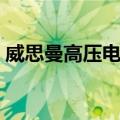 威思曼高压电源（关于威思曼高压电源简介）