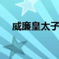 威廉皇太子号（关于威廉皇太子号简介）