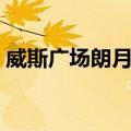 威斯广场朗月轩（关于威斯广场朗月轩简介）