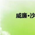 威廉·沙耶（关于威廉·沙耶简介）