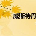 威斯特丹号（关于威斯特丹号简介）