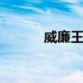 威廉王子（关于威廉王子简介）