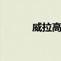 威拉高原（关于威拉高原简介）